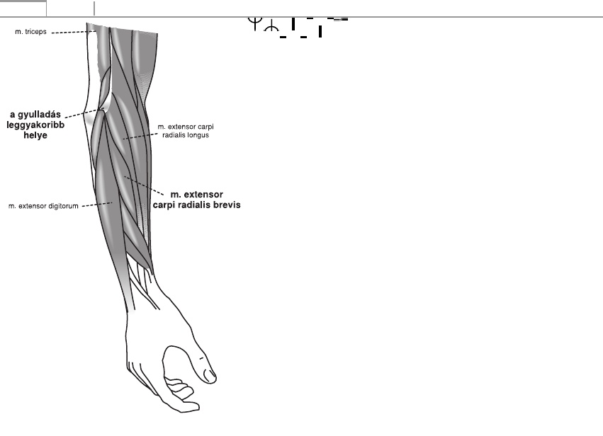 poszttraumatikus bokaízület artrózisa 1 fokos kezelés a térdízületek ellenőrzése